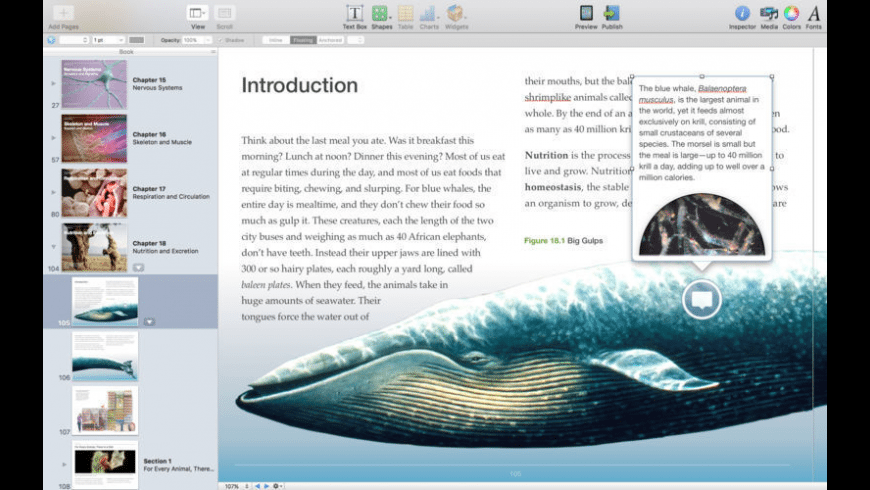 Download ibooks author for mac dmg free